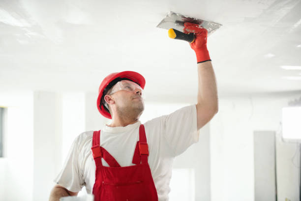 Biohazard Mold Removal in Mancelona, MI
