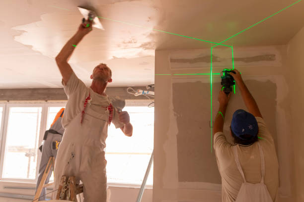 Best Comprehensive Air Testing for Mold Contaminants  in Mancelona, MI