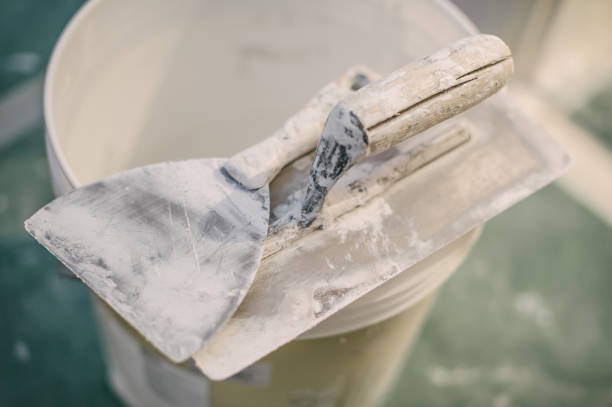 Best Mold Odor Removal Services  in Mancelona, MI