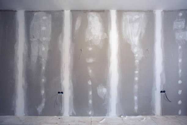 Best Residential Mold Inspection & Testing  in Mancelona, MI
